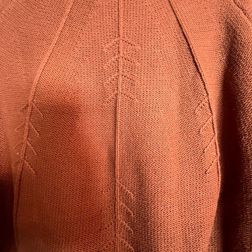 Rust Color Crewneck Cable Sweater - Picture 4 of 8